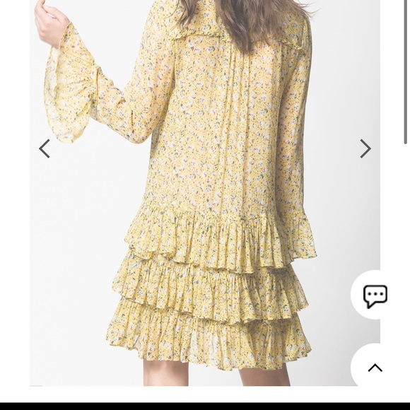 - Zadig & Voltaire Rebbie Anemone Dress Size Small - Picture 13 of 16